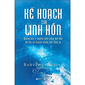Sách - Kế Hoạch Của Linh Hồn - Khám Phá Ý Nghĩa Cuộc Sống Mà Bạn Đã Lên Kế Hoạch Trước Khi Sinh Ra - Thái Hà Books