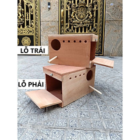 1 tổ đẻ LoveBird 24x18x18 dùng làm tổ cho LB, Parrotlet