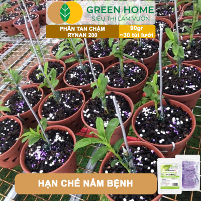 Bộ 3 Phân Tan Chậm GreenHome, Rynan 200-210-220, Bao 90g ,Chuyên Phong Lan 3 Giai Đoạn Từ Con - Ra Hoa