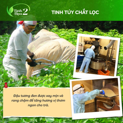 Trà Đậu Tương Đen - Yuzuha Official Shop