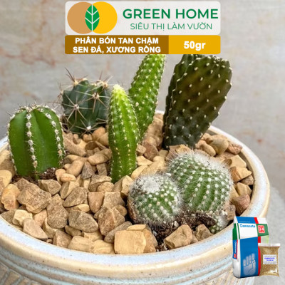 Phân Tan Chậm Greenhome, Osmocote, Bao 50gr, Chuyên Sen Đá, Xương Rồng, Bonsai, GIúp Sen Cứng