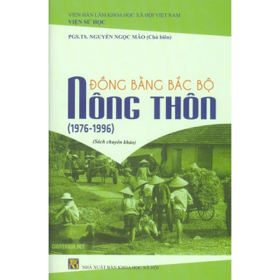 Nông thôn đồng bằng Bắc Bộ (1976-1996) - Sách chuyên khảo - NXB Khoa học Xã hội