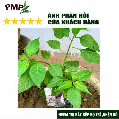 Combo Biomic Vi Sinh & Neem Oil Green Neem Nguyên Chất Cho Hoa Hồng, Rau Sạch, Cây Cảnh