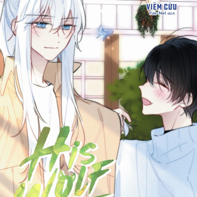 [Truyện Tranh] [BL] His Wolf - Tập 4 - Amakbooks