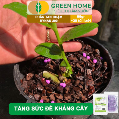 Bộ 3 Phân Tan Chậm GreenHome, Rynan 200-210-220, Bao 90g ,Chuyên Phong Lan 3 Giai Đoạn Từ Con - Ra Hoa