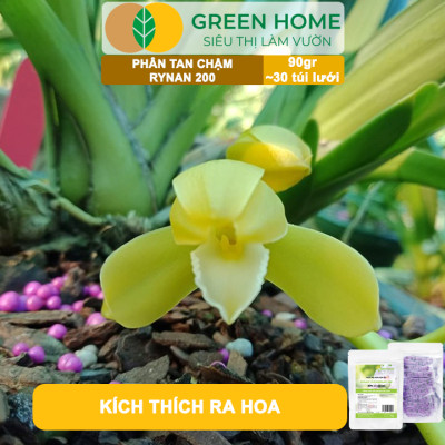 Bộ 3 Phân Tan Chậm GreenHome, Rynan 200-210-220, Bao 90g ,Chuyên Phong Lan 3 Giai Đoạn Từ Con - Ra Hoa