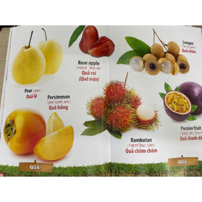 Song ngữ đầu tiên của bé_Thế giới bằng tranh_Hoa Quả Rau Củ (Mới)