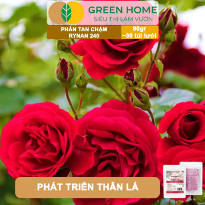 Phân Tan Chậm GreenHome, Rynan 240, Bao 90gr ~ 30 Túi Lưới 3gr, Dùng Cho Hoa Hồng Ra Hoa Đều Và Rực Rỡ