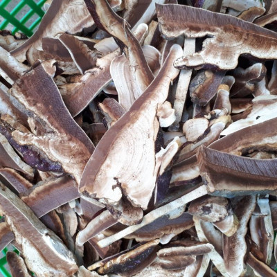 Đặc Sản Kon Tum - Nấm Hồng Chi (Linh Chi Rừng) Việt Nam Hỗ Trợ Hạn Chế U Khối Ác Tính (1Kg) - OCOP 3 Sao