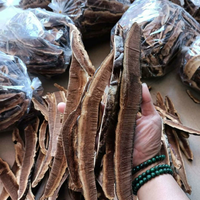 Đặc Sản Kon Tum - Nấm Hồng Chi (Linh Chi Rừng) Việt Nam Hỗ Trợ Hạn Chế U Khối Ác Tính (1Kg) - OCOP 3 Sao