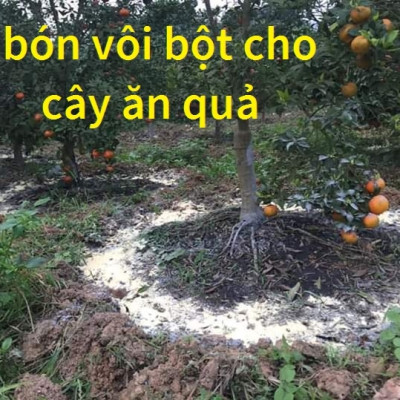 Vôi Bột Nông Nghiệp Xác Khuẩn Chuồng Trại, Khu Chăn Nuôi, Xử Lý Đất Đai (Gói 1kg)