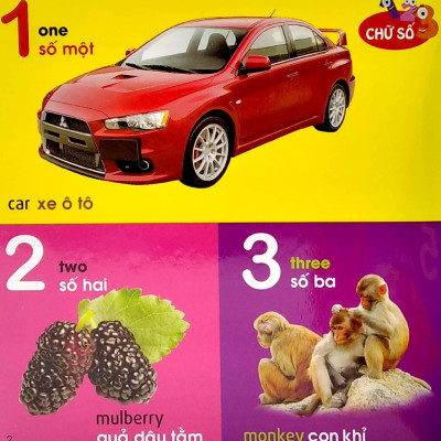 101 Từ Đầu Tiên: Chữ Số-Hình Dạng-Màu Sắc - 101 First Words: Numbers-Shapes-Colours (2022)
