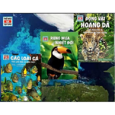 Sách - Thế Nào Và Tại Sao - Rừng Mưa Nhiệt Đới - Tân Việt Books