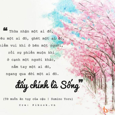 Sách - Tớ Muốn Ăn Tụy Của Cậu (Nhã Nam HCM)