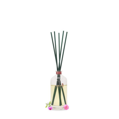 Que mây tán hương ban mai Aura Spring