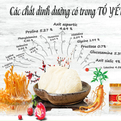 Combo 10 lọ Yến sào cao cấp win