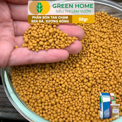 Phân Tan Chậm Greenhome, Osmocote, Bao 50gr, Chuyên Sen Đá, Xương Rồng, Bonsai, GIúp Sen Cứng