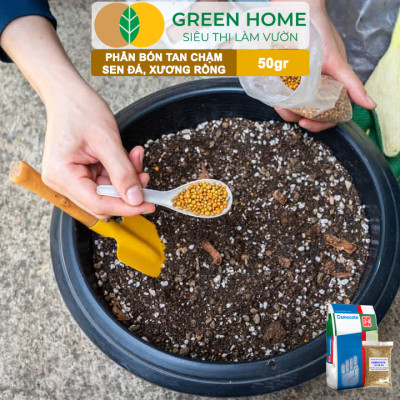 Phân Tan Chậm Greenhome, Osmocote, Bao 50gr, Chuyên Sen Đá, Xương Rồng, Bonsai, GIúp Sen Cứng