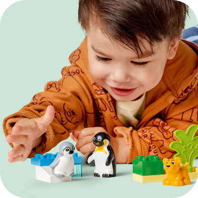 Đồ Chơi Lắp Ráp Gia Đình Động Vật Hoang Dã: Chim Cánh Cụt Và Sư Tử LEGO DUPLO 10442 (10 chi tiết)