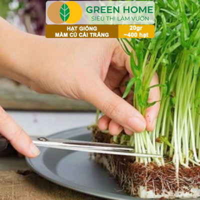 Hạt Giống Rau Cải Mầm Greenhome, Gói 20g~400 hạt, Dễ Trồng Quanh Năm, Nảy Mầm Cao, Thu Hoạch Nhanh, Năng Suất Cao R10
