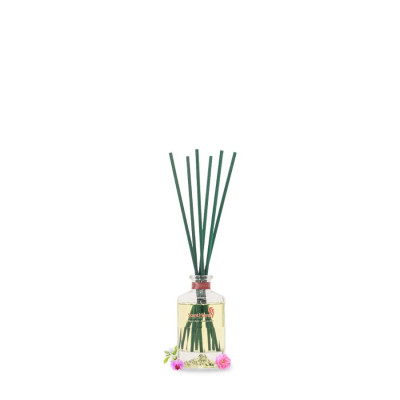 Que mây tán hương ban mai Aura Spring