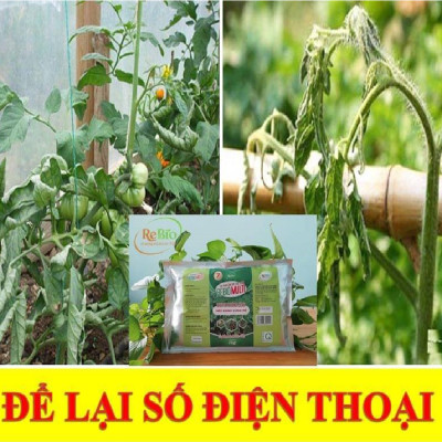 REBIO- Multi 7 chai 500ml Chuyên trị héo xanh vùng rễ