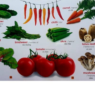 Bộ sách Từ điển bằng tranh: Phương tiện giao thông + Rau củ quả + Thế giới động vật (Tặng sách ngẫu nhiên)