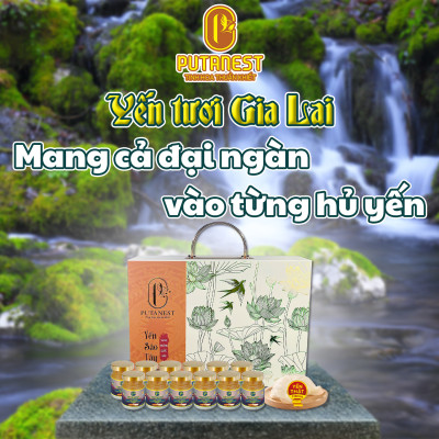 Yến chưng Isomalt Đông trùng hạ thảo PUTANEST hộp quà cao cấp 12 hũ 70ml cho người tiểu đường