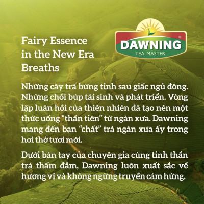 Combo 5 hộp Trà chanh hòa tan DAWNING từ bột chanh nguyên chất và mật ong giúp giải khát 280g/hộp (hộp 20 gói)