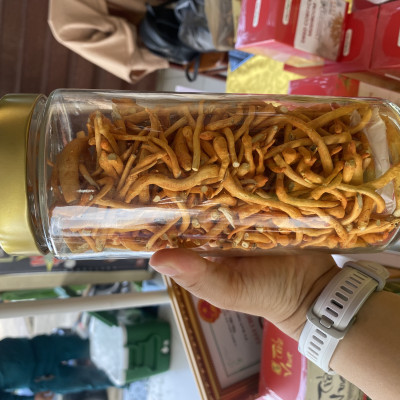 Combo 3 lọ khô 50gram thủy tinh Đông trùng hạ thảo sấy thăng hoa [Mua 2 được 3]