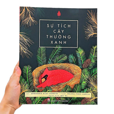 Sự Tích Cây Thường Xanh