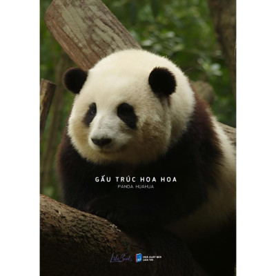 Gấu trúc Hoa Hoa - Amak