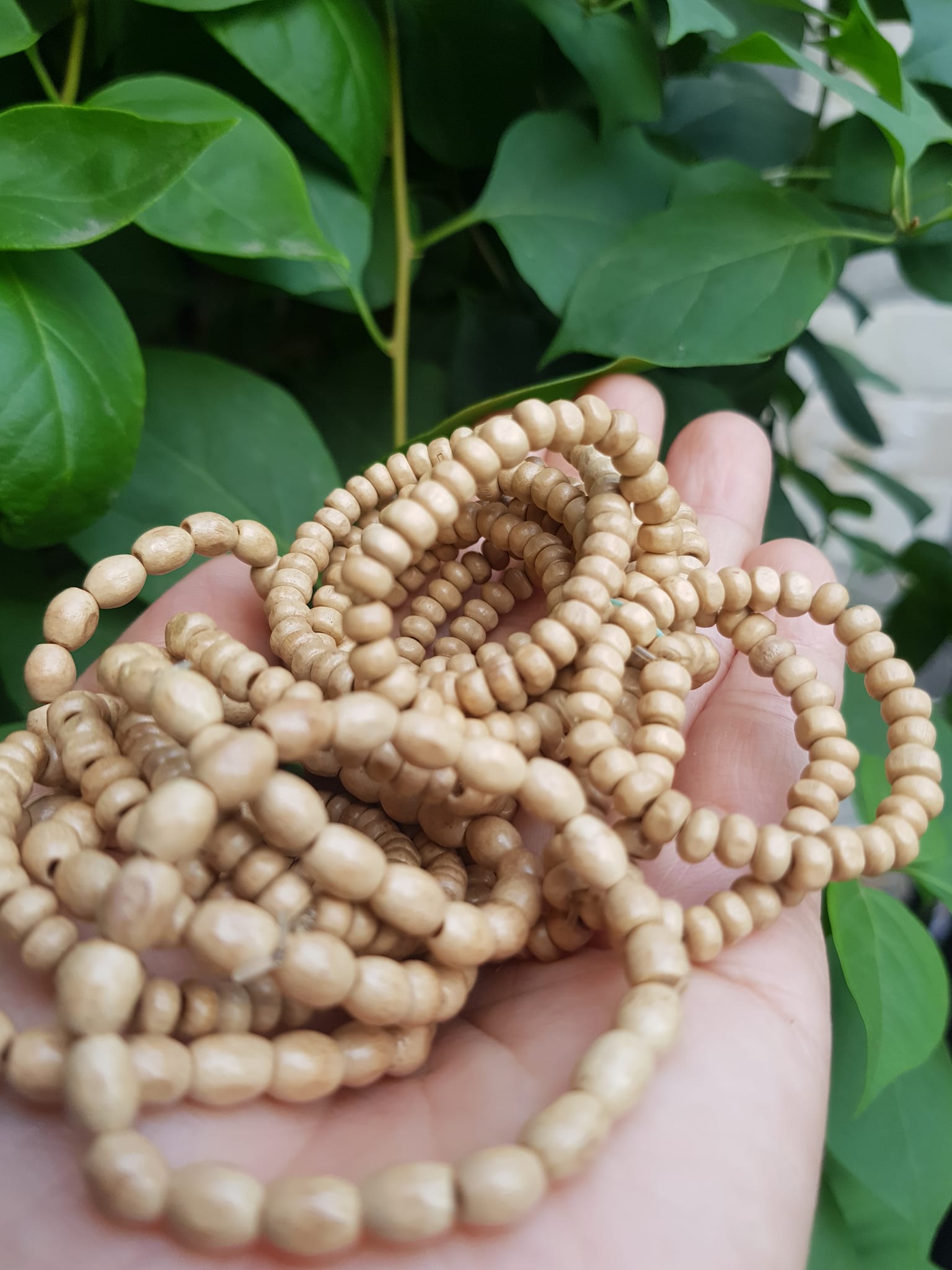 Vòng dâu tằm cho bé sơ sinh vòng cho cả bé trai và bé gái Ông bà xưa cho bé đeo vòng dâu tằm tốt, giúp cho bé ngủ không bị giật mình, bụ bẩm ngoan ạ