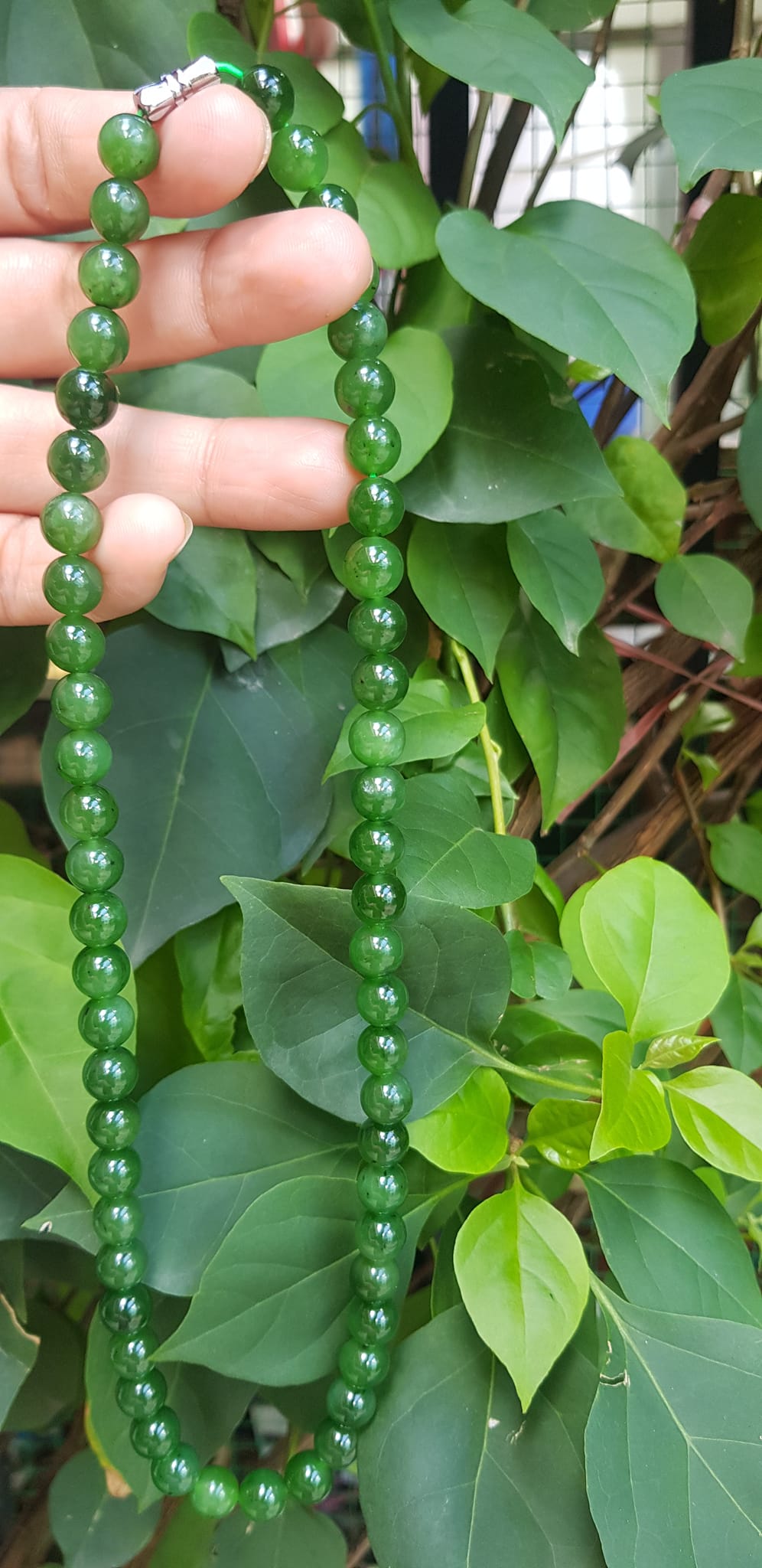 Chuỗi đeo Cổ Đá Ngọc Phật tự nhiên đẹp hay ngọc bích Size hạt 8mm Màu xanh ngọc bích bóng đẹp món quà tặng ý nghĩa cho mình và người thân đeo đẹp xanh nhẹ nhàng mát xanh tươi ạ