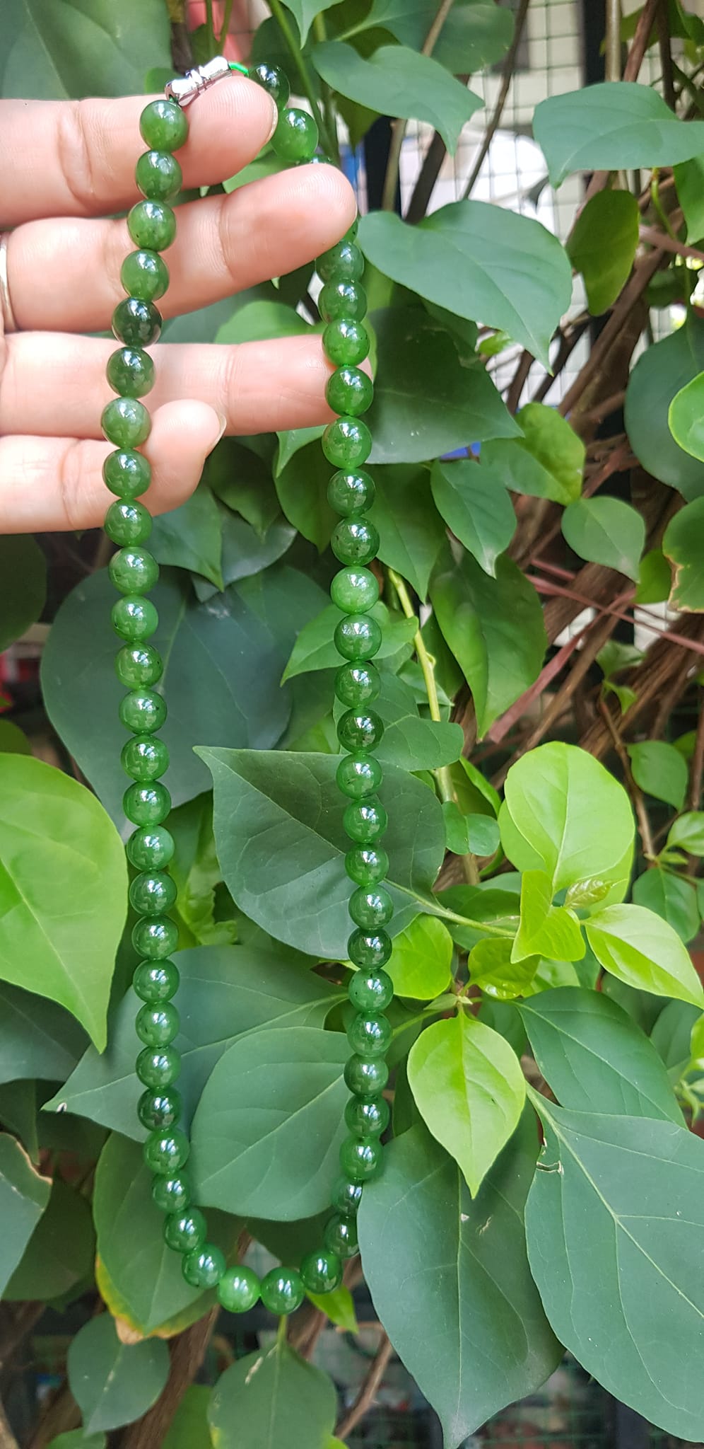 Chuỗi đeo Cổ Đá Ngọc Phật tự nhiên đẹp hay ngọc bích Size hạt 8mm Màu xanh ngọc bích bóng đẹp món quà tặng ý nghĩa cho mình và người thân đeo đẹp xanh nhẹ nhàng mát xanh tươi ạ