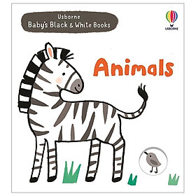 Usborne Baby