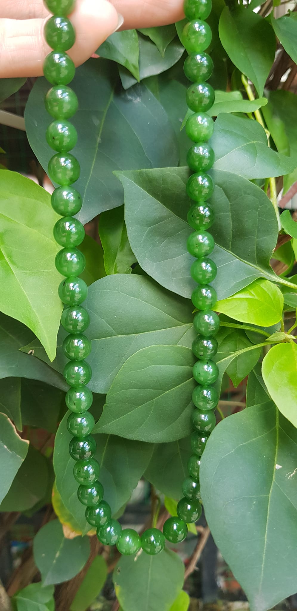 Chuỗi đeo Cổ Đá Ngọc Phật tự nhiên đẹp hay ngọc bích Size hạt 8mm Màu xanh ngọc bích bóng đẹp món quà tặng ý nghĩa cho mình và người thân đeo đẹp xanh nhẹ nhàng mát xanh tươi ạ