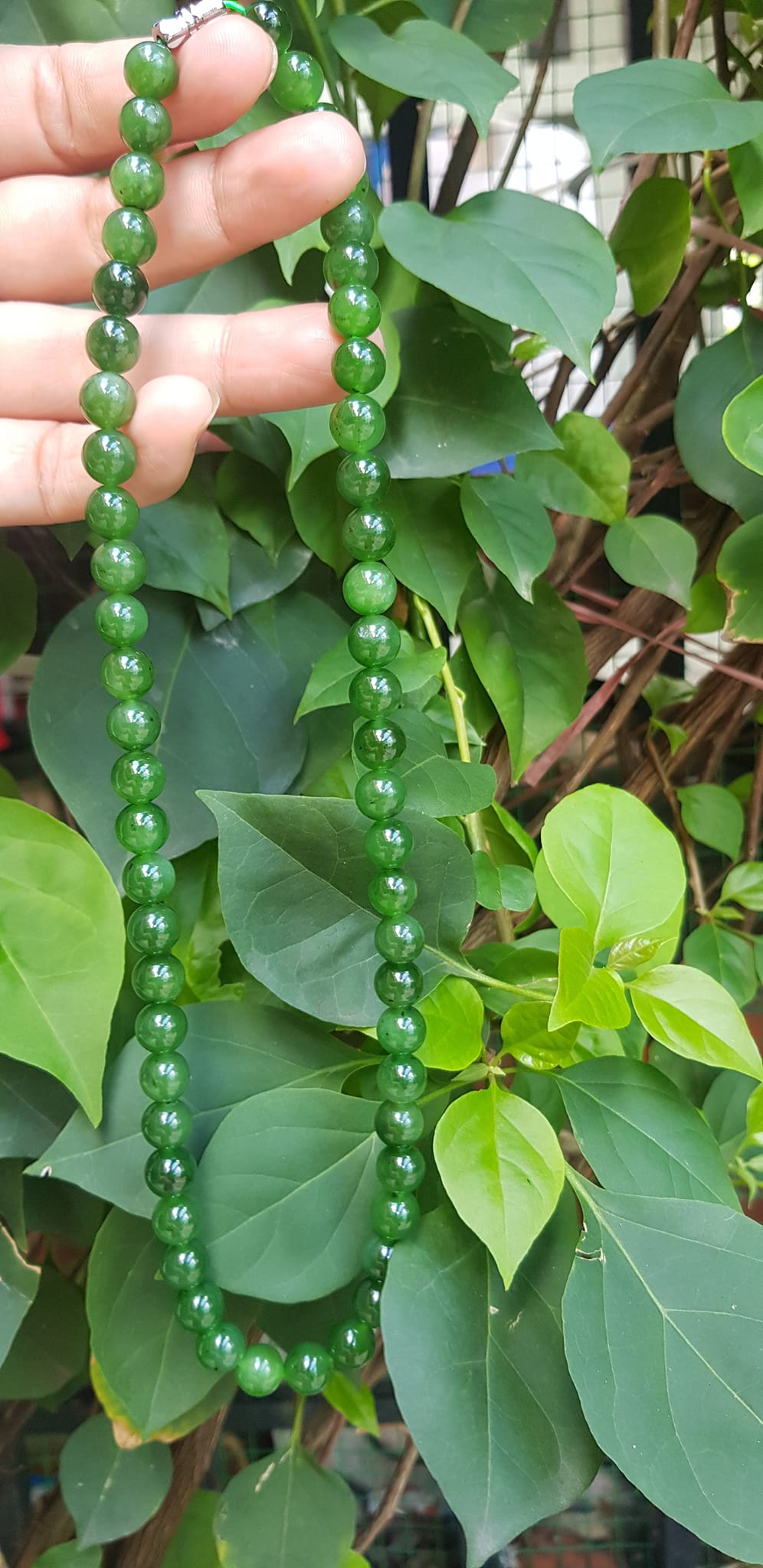 Chuỗi đeo Cổ Đá Ngọc Phật tự nhiên đẹp hay ngọc bích Size hạt 8mm Màu xanh ngọc bích bóng đẹp món quà tặng ý nghĩa cho mình và người thân đeo đẹp xanh nhẹ nhàng mát xanh tươi ạ