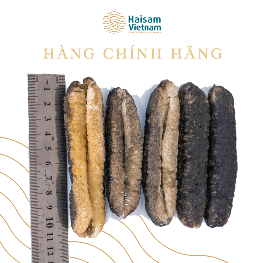 Hải Sâm Cát Supper VIP Làm Sạch-Sấy Thăng Hoa ( Túi 2 con) I Giàu Collage Type 1-Trẻ Hóa Làn Da, Phục Hồi Vết Thương Nhanh