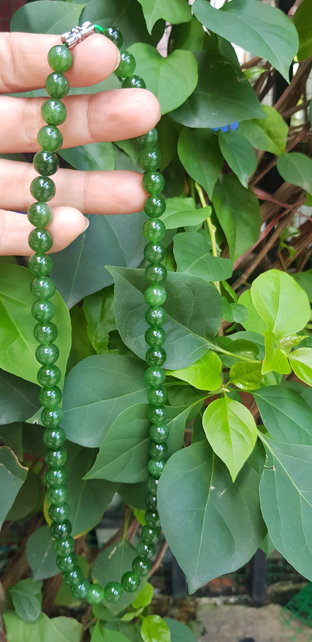 Chuỗi đeo Cổ Đá Ngọc Phật tự nhiên đẹp hay ngọc bích Size hạt 8mm Màu xanh ngọc bích bóng đẹp món quà tặng ý nghĩa cho mình và người thân đeo đẹp xanh nhẹ nhàng mát xanh tươi ạ