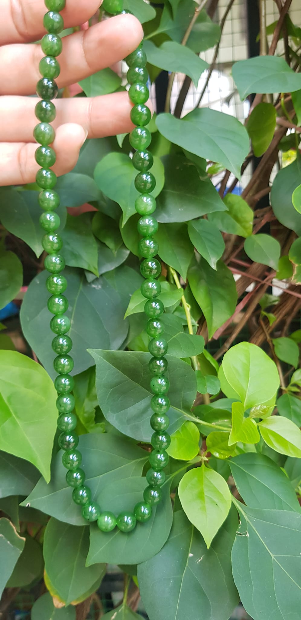 Chuỗi đeo Cổ Đá Ngọc Phật tự nhiên đẹp hay ngọc bích Size hạt 8mm Màu xanh ngọc bích bóng đẹp món quà tặng ý nghĩa cho mình và người thân đeo đẹp xanh nhẹ nhàng mát xanh tươi ạ