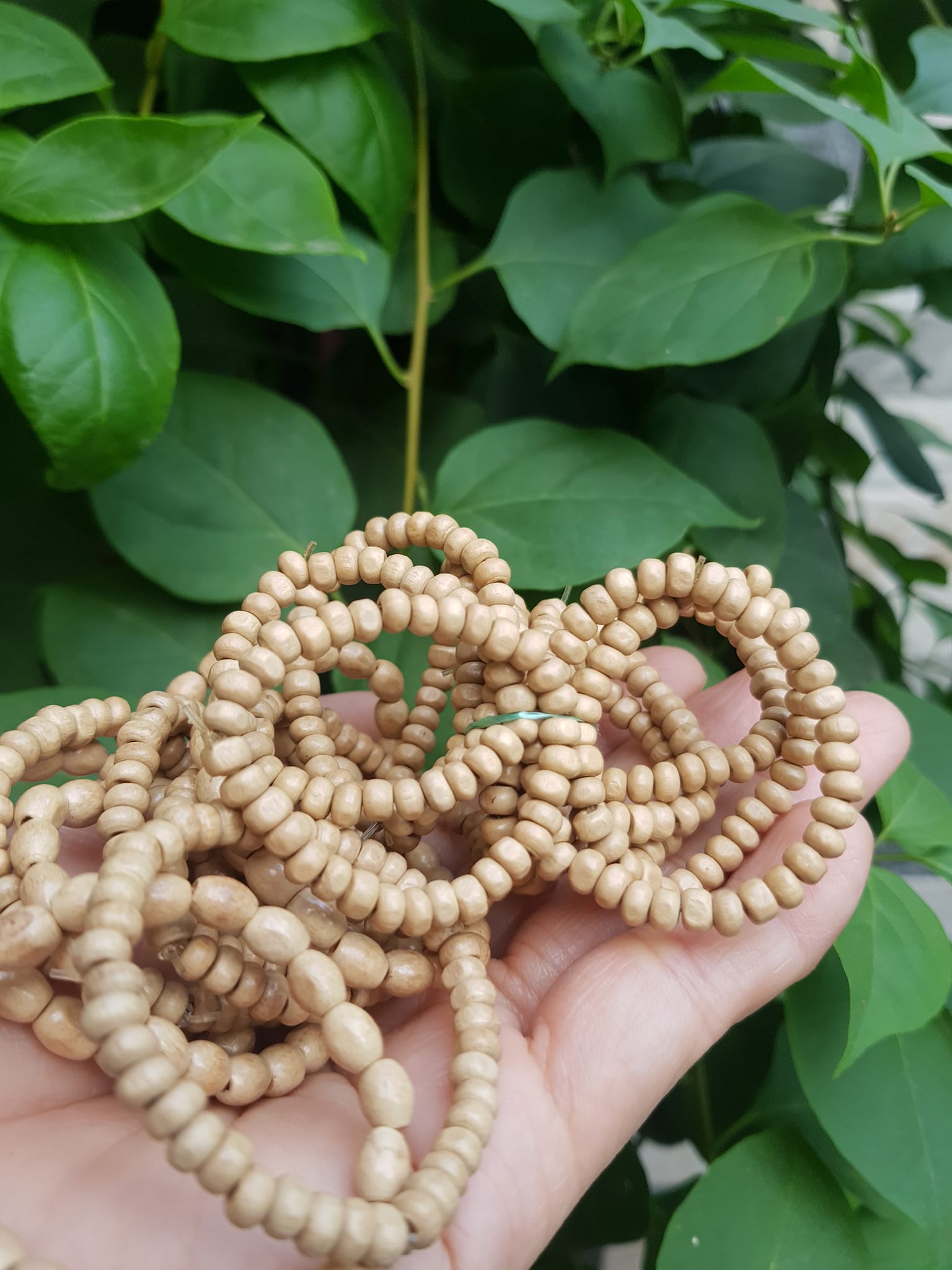 Vòng dâu tằm cho bé sơ sinh vòng cho cả bé trai và bé gái Ông bà xưa cho bé đeo vòng dâu tằm tốt, giúp cho bé ngủ không bị giật mình, bụ bẩm ngoan ạ