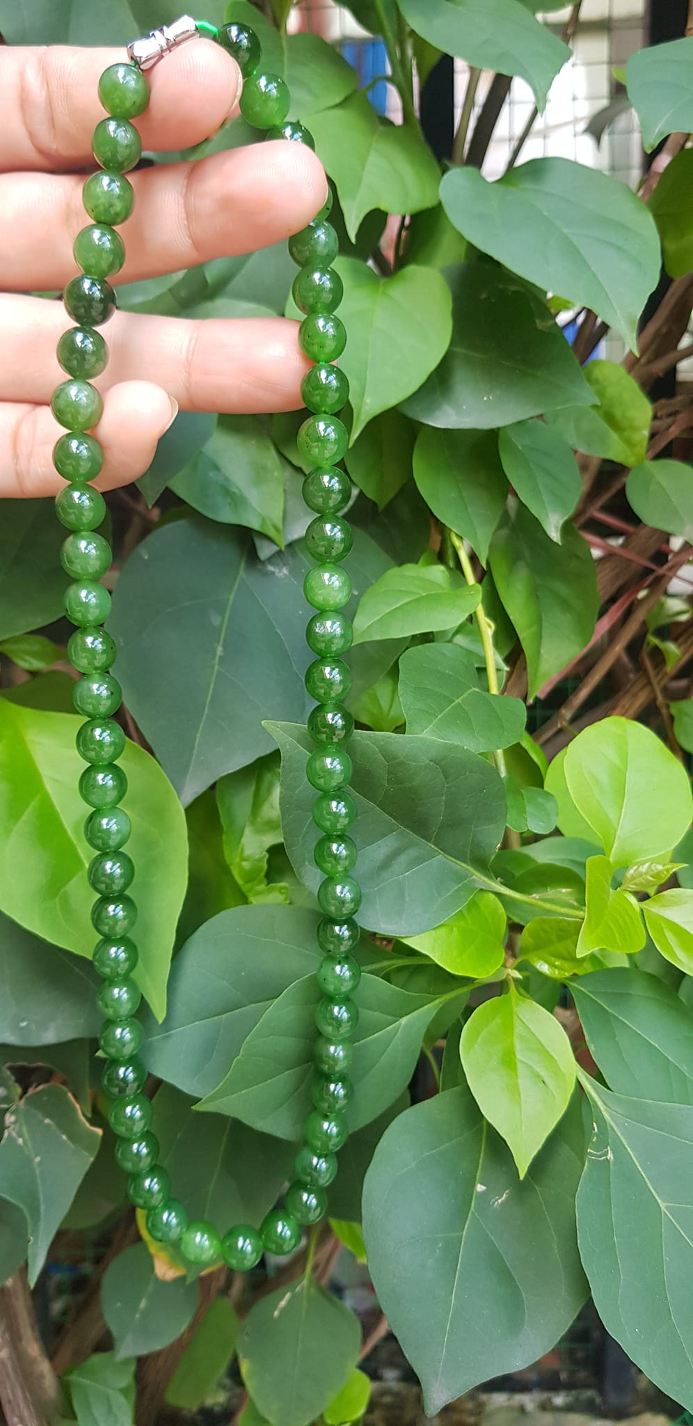 Chuỗi đeo Cổ Đá Ngọc Phật tự nhiên đẹp hay ngọc bích Size hạt 8mm Màu xanh ngọc bích bóng đẹp món quà tặng ý nghĩa cho mình và người thân đeo đẹp xanh nhẹ nhàng mát xanh tươi ạ