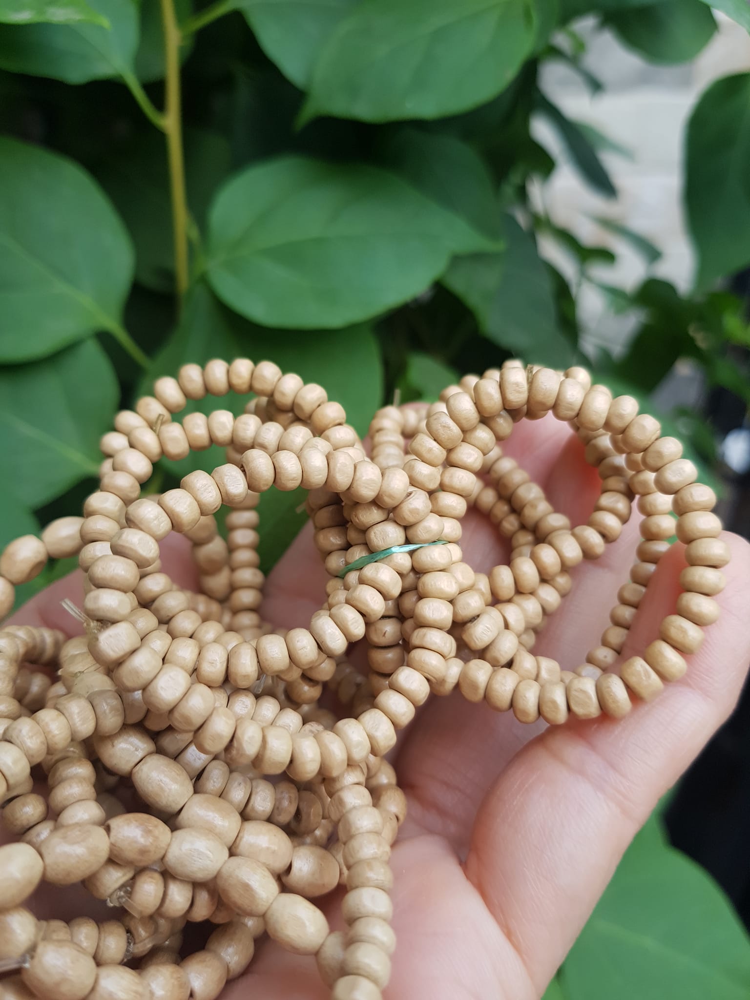 Vòng dâu tằm cho bé sơ sinh vòng cho cả bé trai và bé gái Ông bà xưa cho bé đeo vòng dâu tằm tốt, giúp cho bé ngủ không bị giật mình, bụ bẩm ngoan ạ