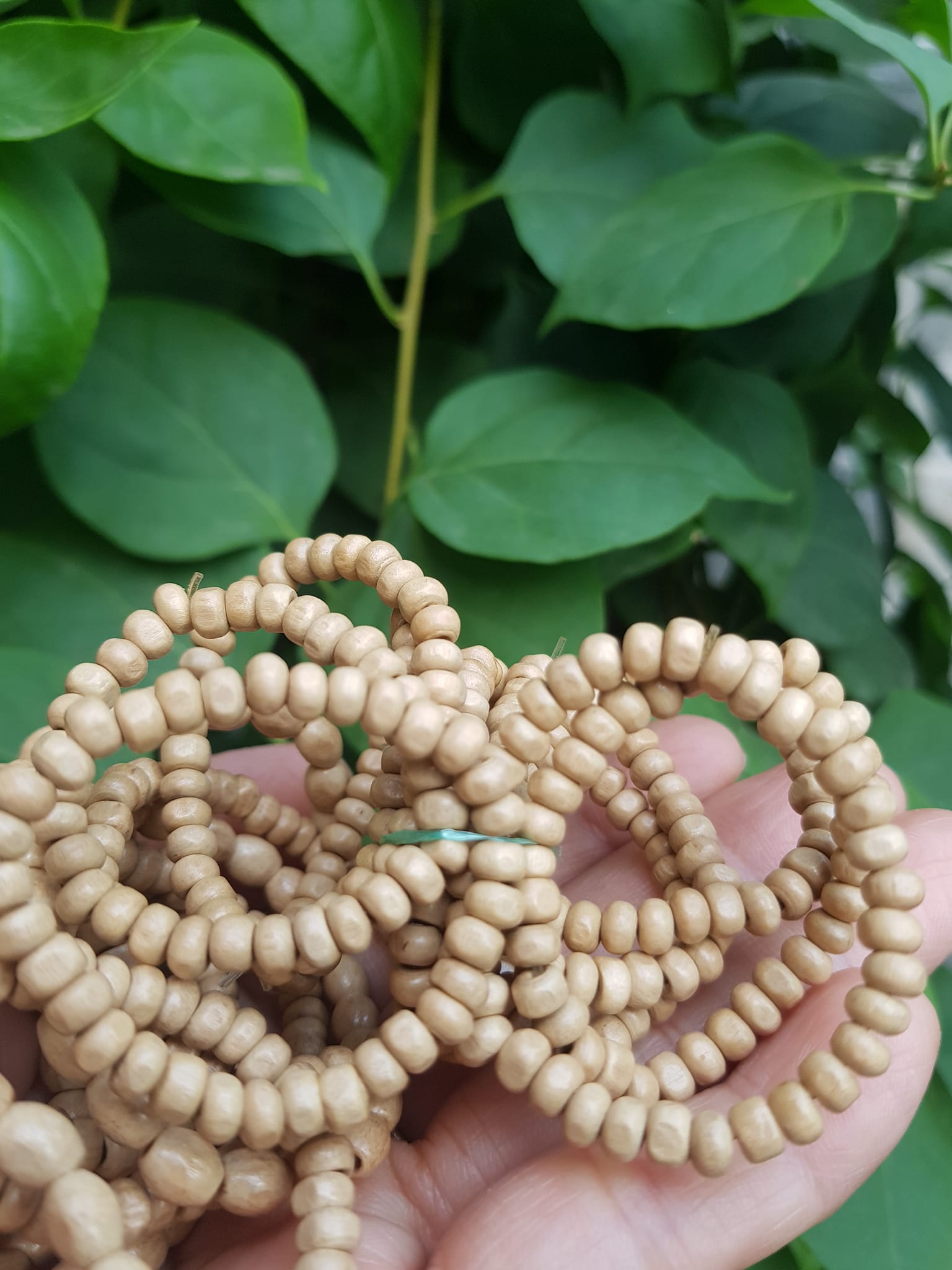 Vòng dâu tằm cho bé sơ sinh vòng cho cả bé trai và bé gái Ông bà xưa cho bé đeo vòng dâu tằm tốt, giúp cho bé ngủ không bị giật mình, bụ bẩm ngoan ạ