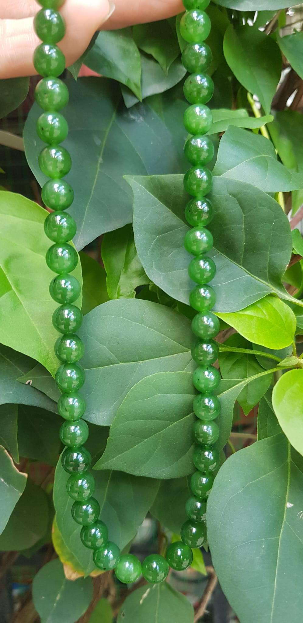 Chuỗi đeo Cổ Đá Ngọc Phật tự nhiên đẹp hay ngọc bích Size hạt 8mm Màu xanh ngọc bích bóng đẹp món quà tặng ý nghĩa cho mình và người thân đeo đẹp xanh nhẹ nhàng mát xanh tươi ạ