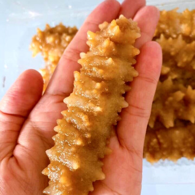 Hải sâm gai vàng ( size 8-12 con)- 1kg