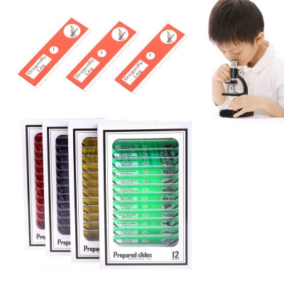 Bộ 12 tiểu bản mẫu vật của động thực vật dùng trên kính hiển vi - Hàng Chính Hãng