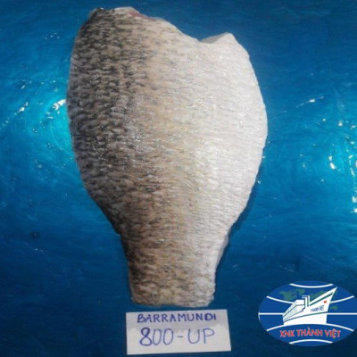 CÁ CHẼM FILLET 