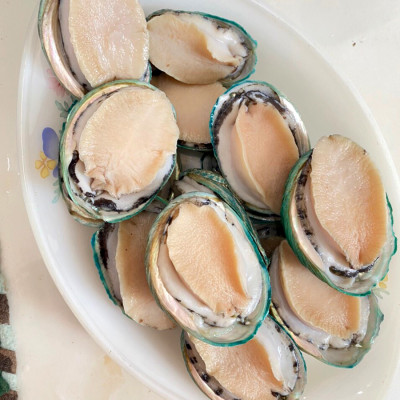 Bào ngư Úc viền xanh ( size :11-12 con )- 1kg